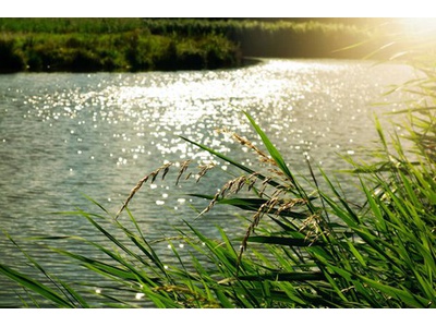 ВОДА ОШИБОК НЕ ПРОЩАЕТ!
